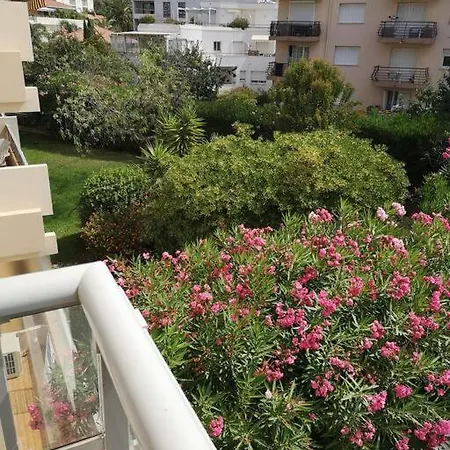 Superbe 2 Pieces Et Terrasse A 5 Min De La Appartement Antibes